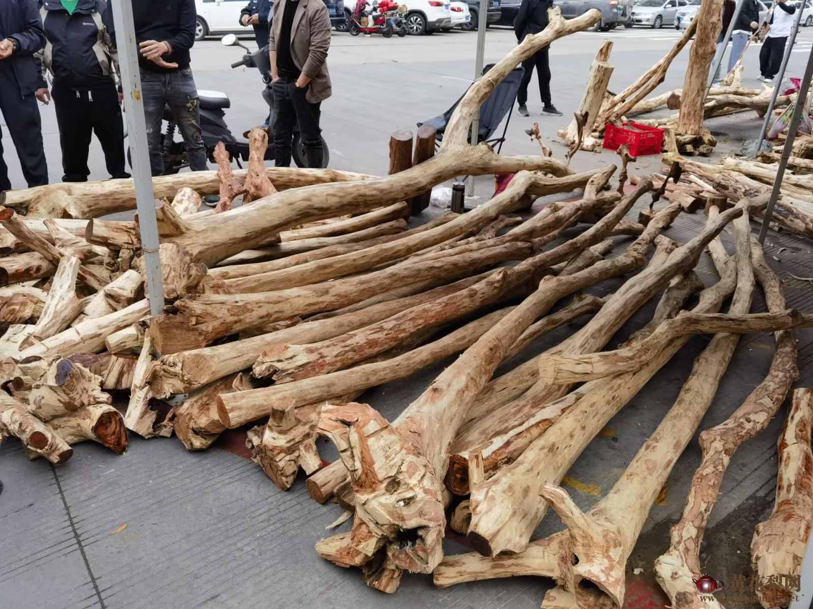 海南黄花梨市场上的海南黄花梨新料